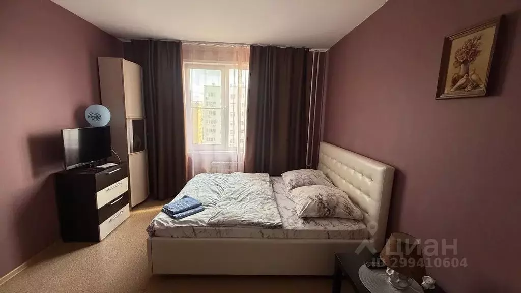 1-к кв. Нижегородская область, Нижний Новгород Бурнаковская ул., 77 ... - Фото 2