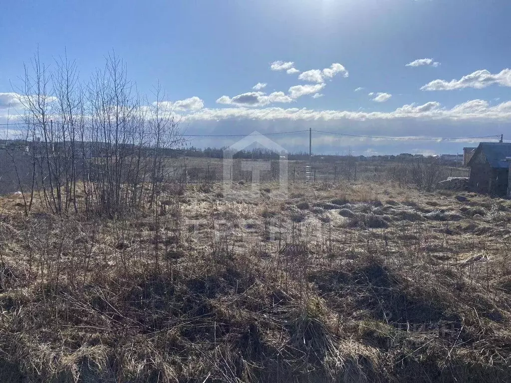 Участок в Ленинградская область, Ломоносовский район, д. Низино ул. ... - Фото 1