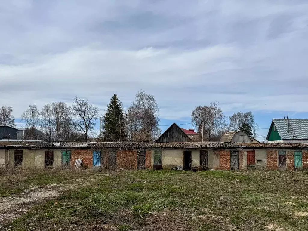 Помещение свободного назначения в Орловская область, Кромы пгт ул. К. ... - Фото 0