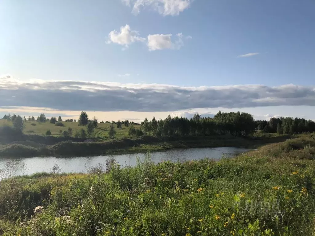Участок в Тульская область, Ясногорский район, Иваньковское с/пос, ... - Фото 1