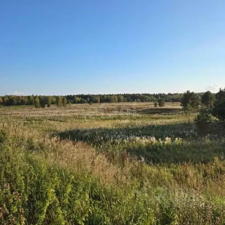 Участок в Свердловская область, Режевской муниципальный округ, с. ... - Фото 2