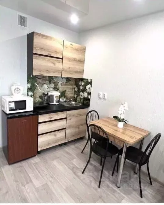 Студия Новосибирская область, Новосибирск ул. Забалуева, 102 (23.0 м) - Фото 1