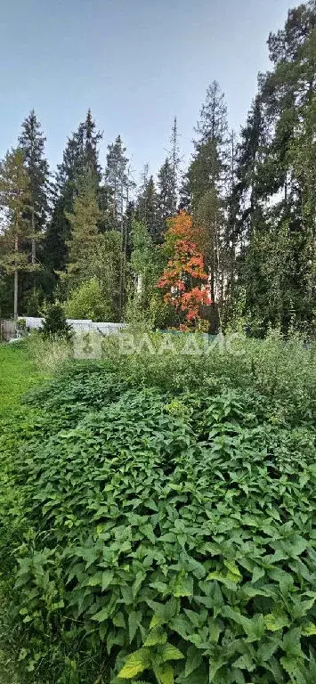 Продается дом в пгт Снегири - Фото 2