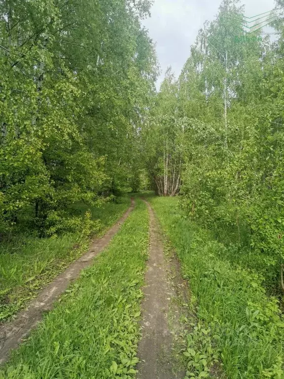 Участок в Липецкая область, Задонский район, Верхнестуденецкий ... - Фото 0