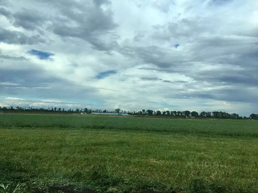 Участок в Краснодарский край, Краснодар пос. Победитель, ул. ... - Фото 1