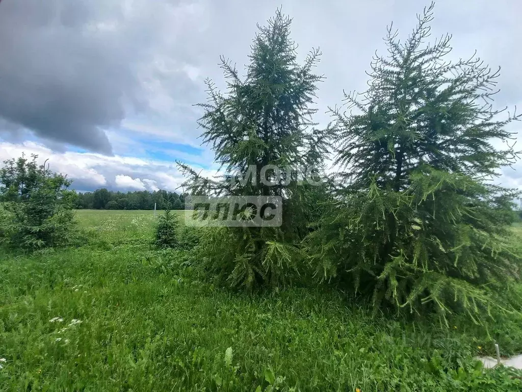 Участок в Владимирская область, Александровский муниципальный округ, ... - Фото 1