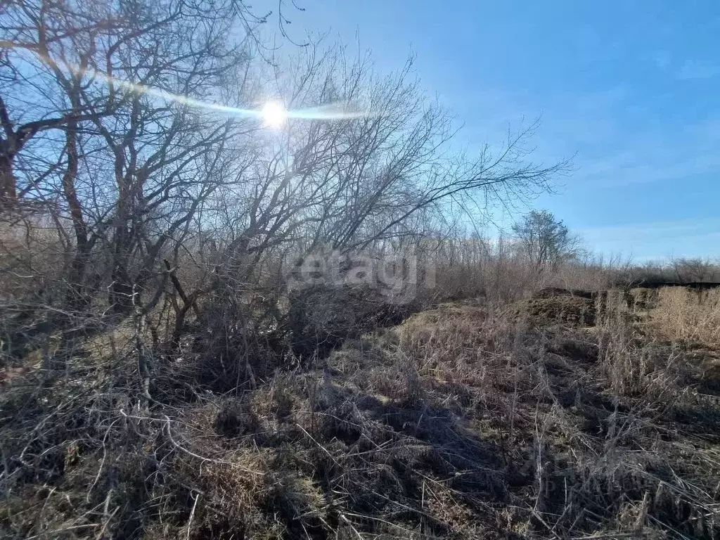 Участок в Челябинская область, Красноармейский муниципальный округ, с. ... - Фото 1