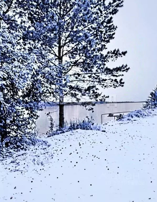 Дом в Новосибирская область, Новосибирский район, Кудряшовский ... - Фото 2