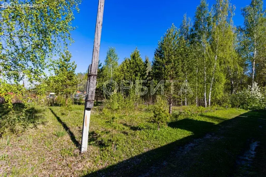 Участок в Тюменский район, СНТ Москвичка (6.75 м) - Фото 1