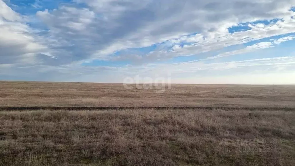 Участок в Крым, Раздольненский район, Березовское с/пос, с. Березовка ... - Фото 0