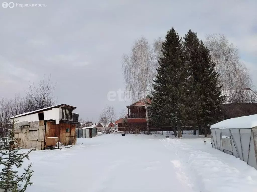 Участок в Новосибирск, 2-я Прокопьевская улица (6 м) - Фото 1