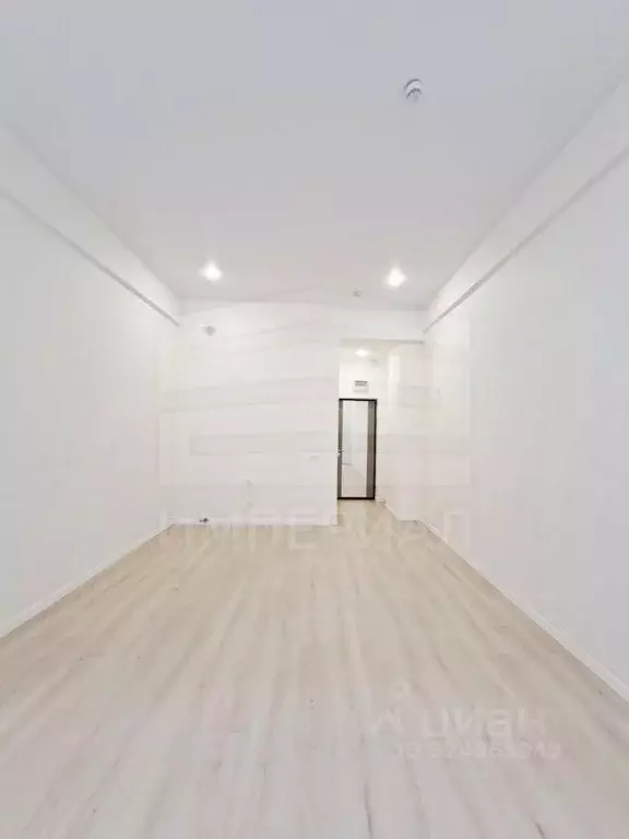 Студия Московская область, Люберцы Октябрьский просп., 403 (24.6 м) - Фото 2