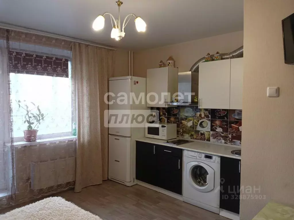 Студия Челябинская область, Челябинск ул. 2-я Эльтонская, 61А (28.6 м) - Фото 2