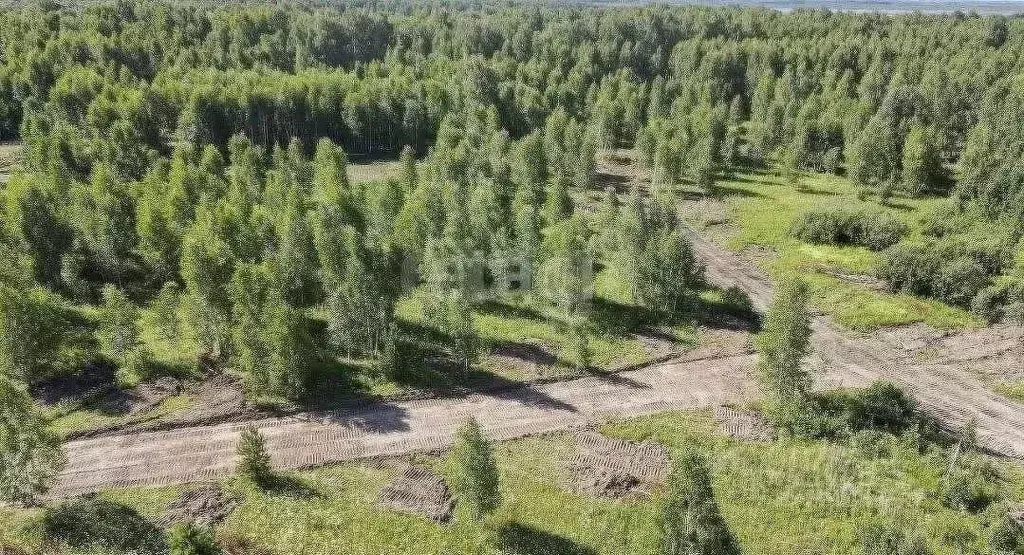 Участок в Тюменская область, Нижнетавдинский муниципальный округ, пос. ... - Фото 1