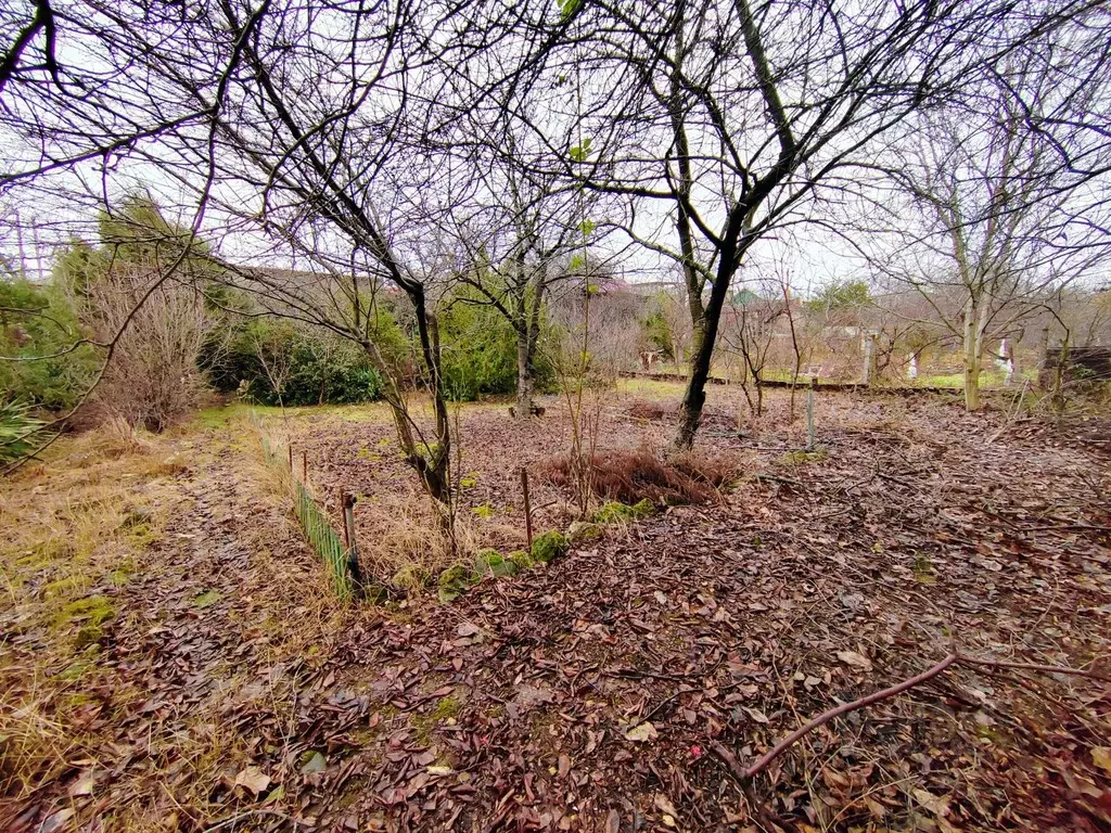 Участок в Севастополь Металлист садовое товарищество, 52 (7.55 сот.) - Фото 2