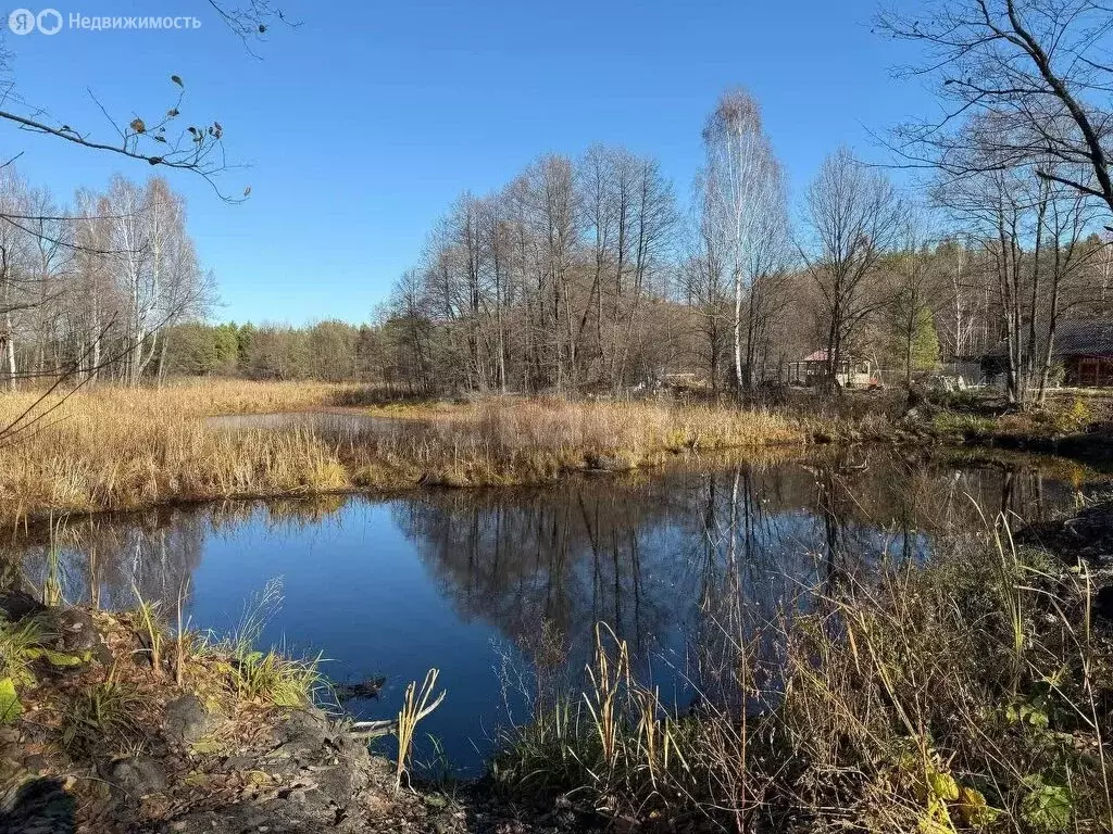 Участок в Бессоновский район, посёлок Новая Жизнь (16.11 м) - Фото 2