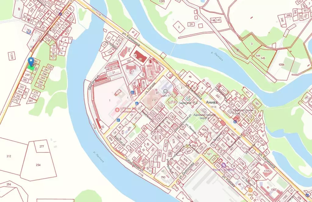 Участок в Сахалинская область, Анива  (10.0 сот.) - Фото 1