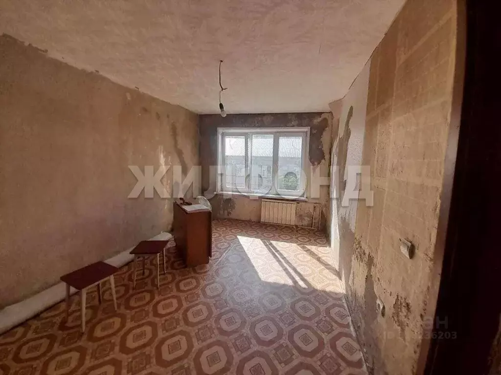 Комната Новосибирская область, Новосибирск Кубовая ул., 91/1 (14.5 м) - Фото 0