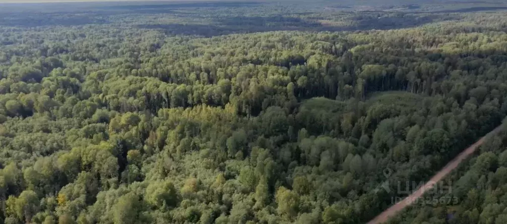 Участок в Тверская область, Осташковский муниципальный округ, д. ... - Фото 0