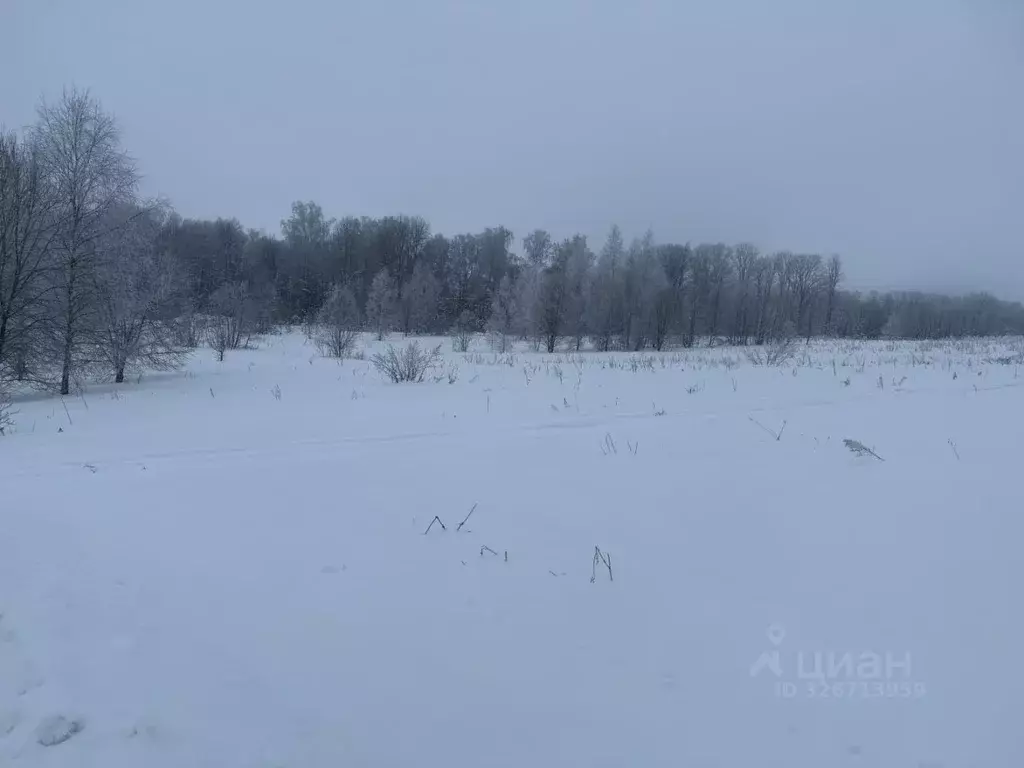 Участок в Московская область, Клин городской округ, д. Ковылино  (12.0 ... - Фото 1