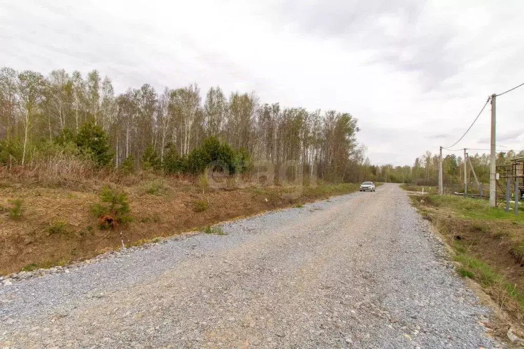 Участок в Тюменская область, Нижнетавдинский район, д. Московка просп. ... - Фото 1