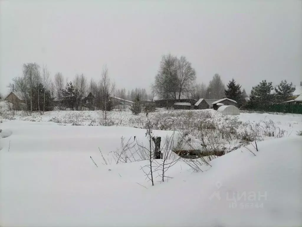 Участок в Нижегородская область, Павловский район, д. Щепачиха 46А ... - Фото 0