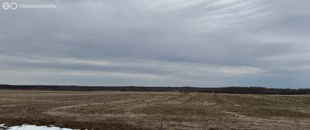 Участок в Московская область, Рузский муниципальный округ, деревня ... - Фото 1