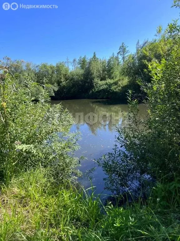Участок в городской округ Томск, село Тимирязевское (14 м) - Фото 2