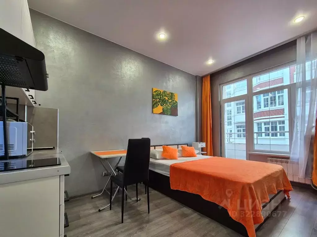 Студия Краснодарский край, Сочи ул. Ленина, 290/6 (22.0 м) - Фото 2