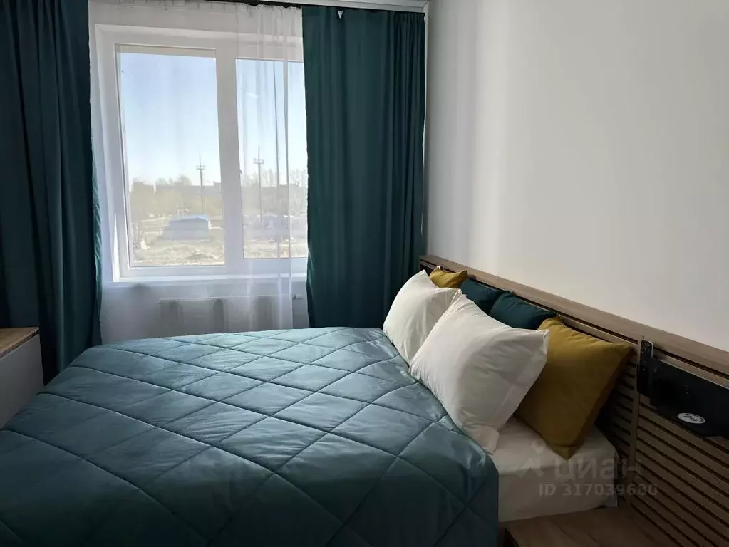 1-к кв. Санкт-Петербург Пулковское ш., 95к3 (30.9 м) - Фото 1