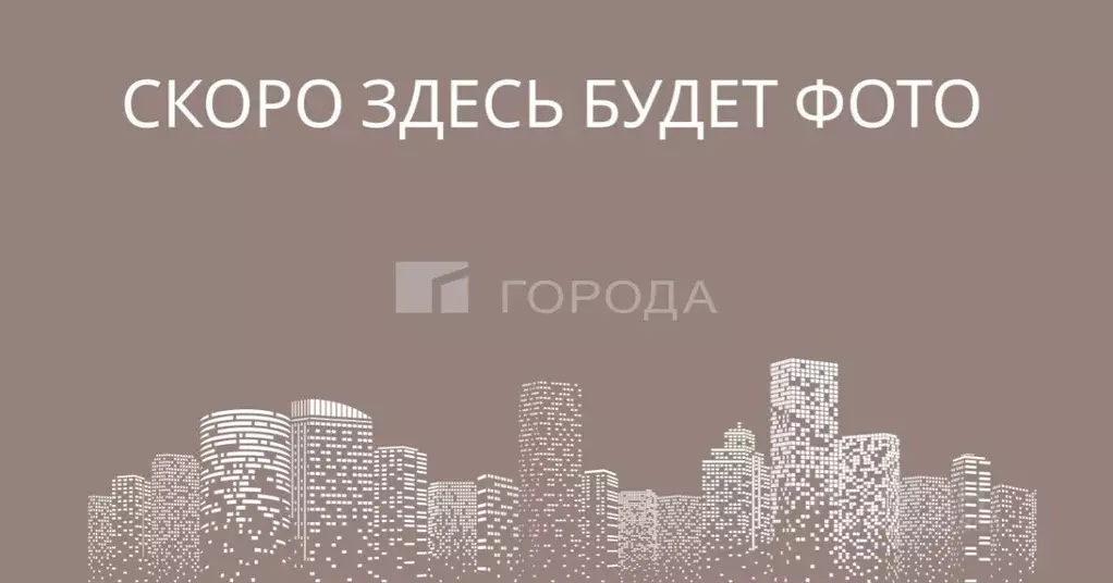 Гараж в Новосибирская область, Новосибирск Плановая ул., 60А (13 м) - Фото 0