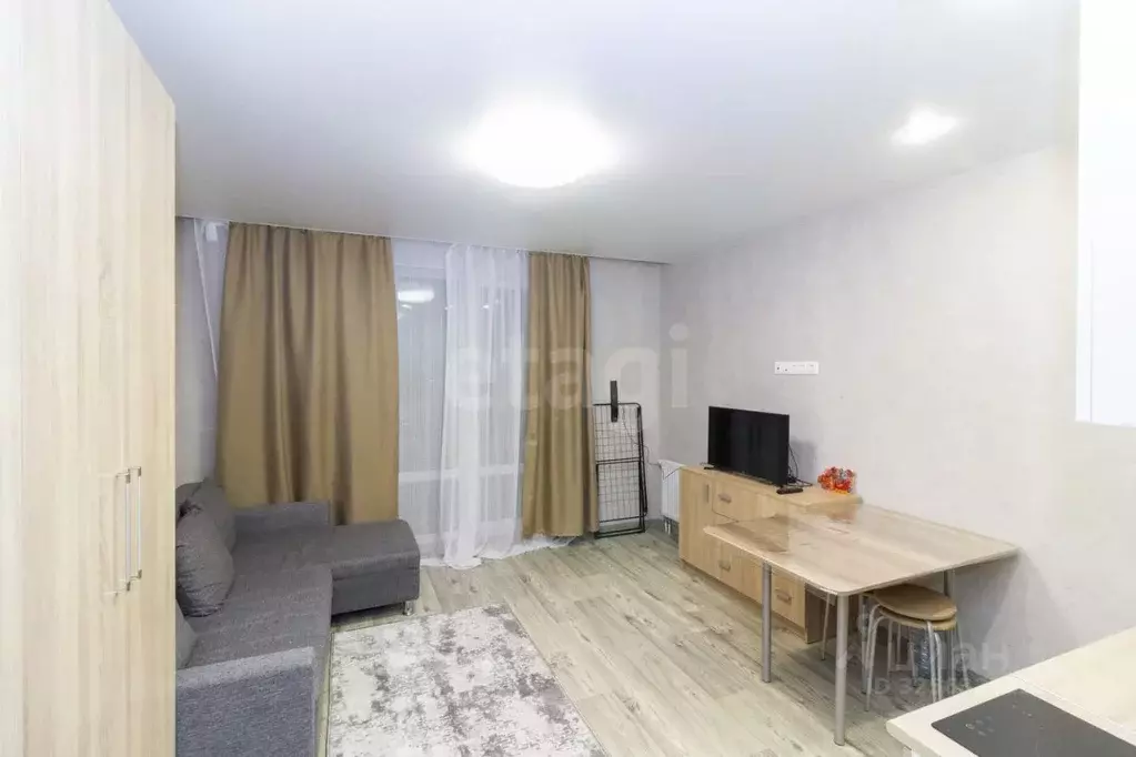 Студия Тюменская область, Тюменский муниципальный округ, д. Патрушева ... - Фото 2