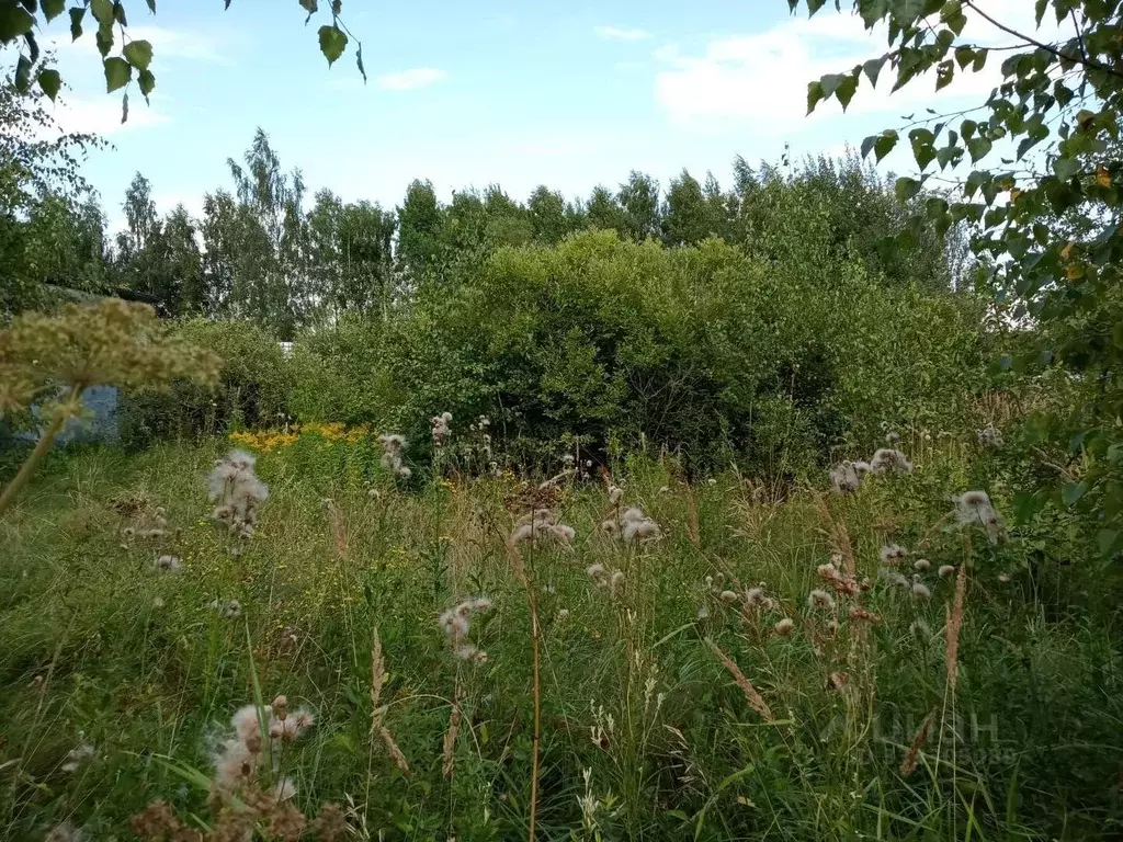 Участок в Московская область, Воскресенск городской округ, с. ... - Фото 2