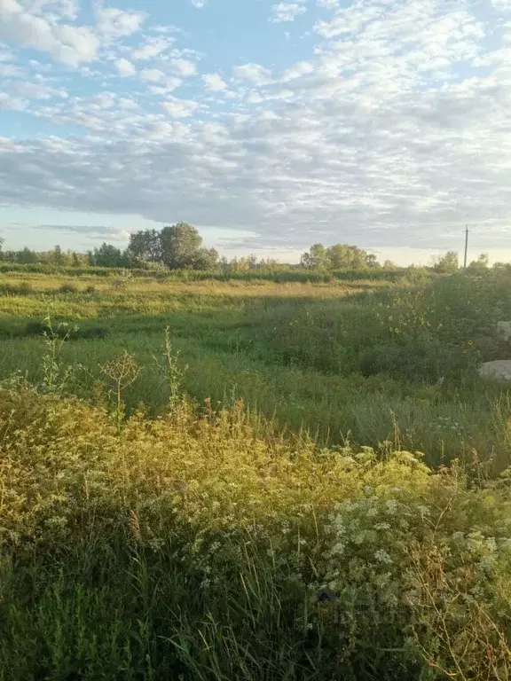 Участок в Оренбургская область, Оренбургский район, Весенний ... - Фото 1