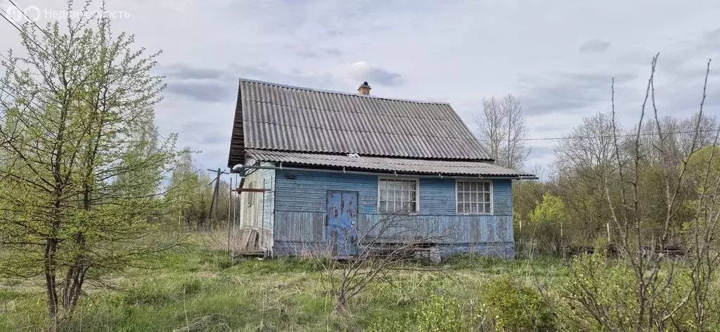 Дом в деревня Бурга, улица Мира, 19 (29.5 м) - Фото 1
