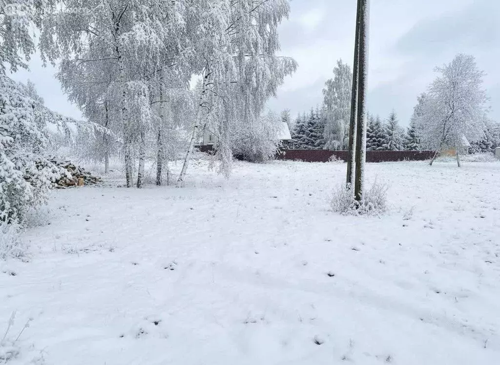 Участок в Громовское сельское поселение, посёлок Приладожское, Гусиная ... - Фото 1
