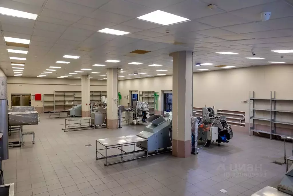 Производственное помещение в Московская область, Дубна Дачная ул., ... - Фото 1