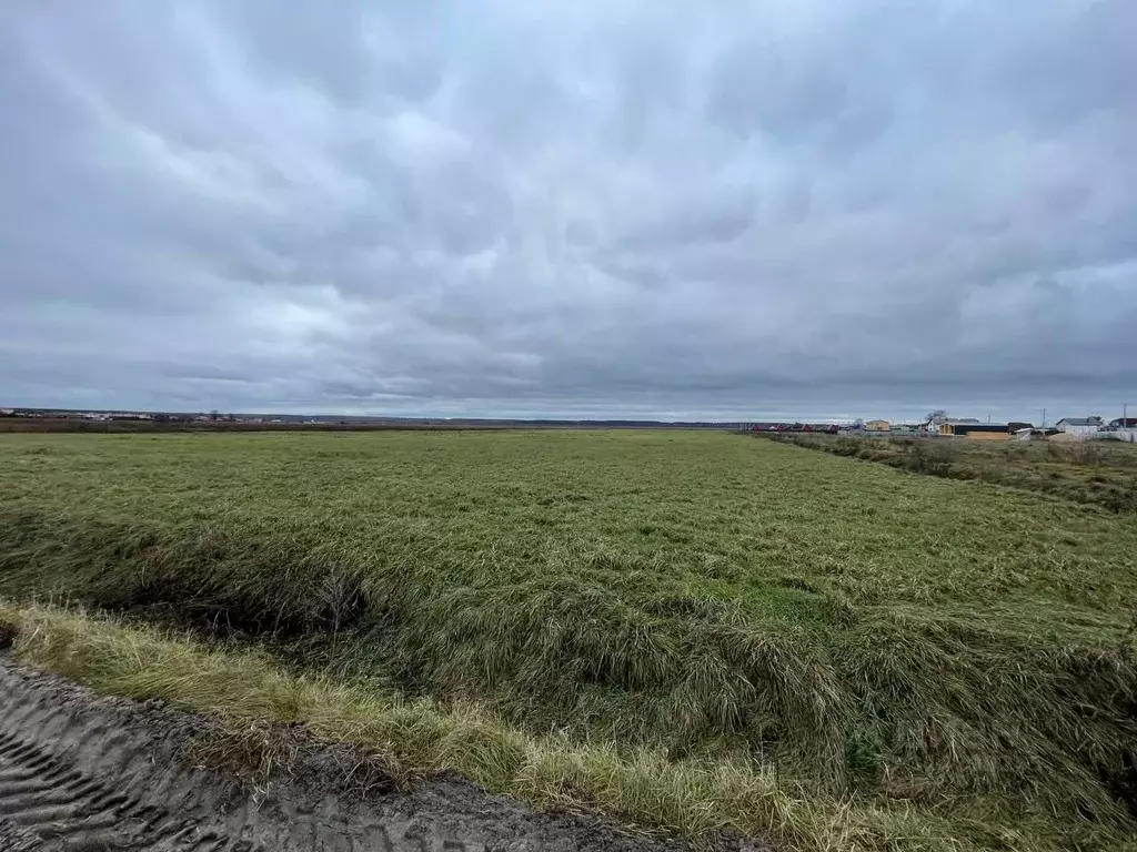 Участок в Калужская область, Дзержинский район, с. Дворцы ул. Дальняя ... - Фото 2