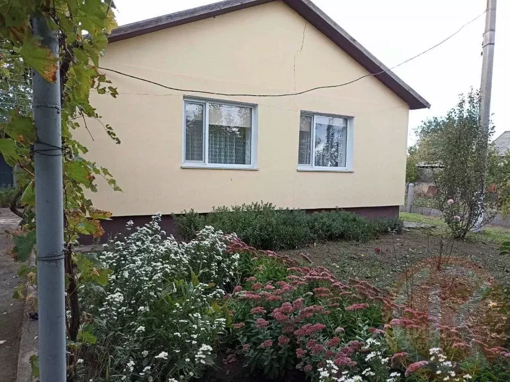 Дом в Крым, Черноморский район, с. Красная Поляна ул. Целинная, 1А ... - Фото 1