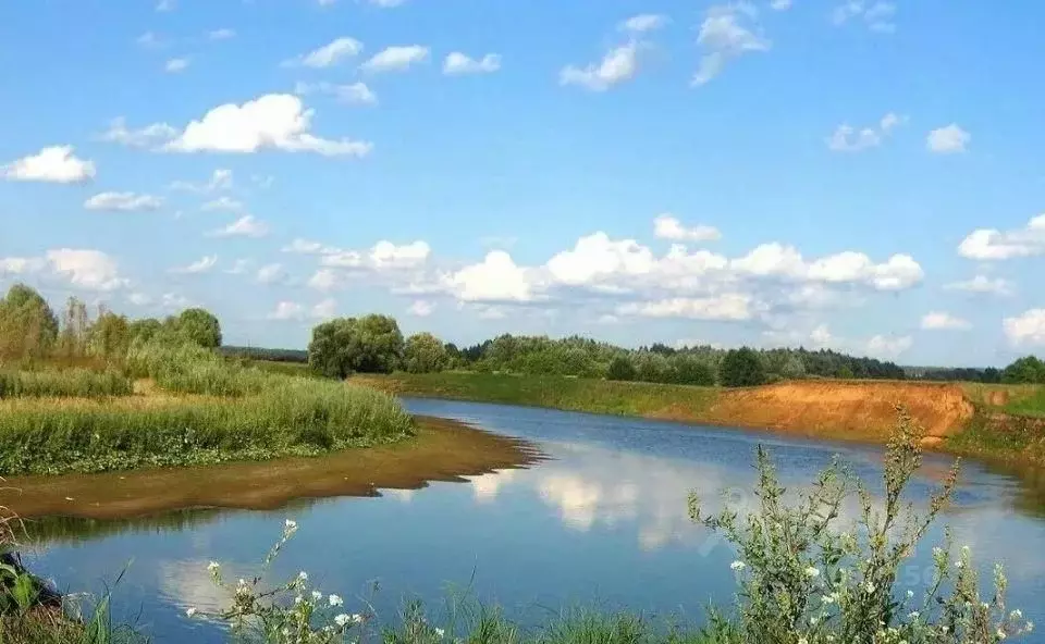 Участок в Татарстан, Лаишевский район, Егорьевское с/пос, с. Бима ул. ... - Фото 0