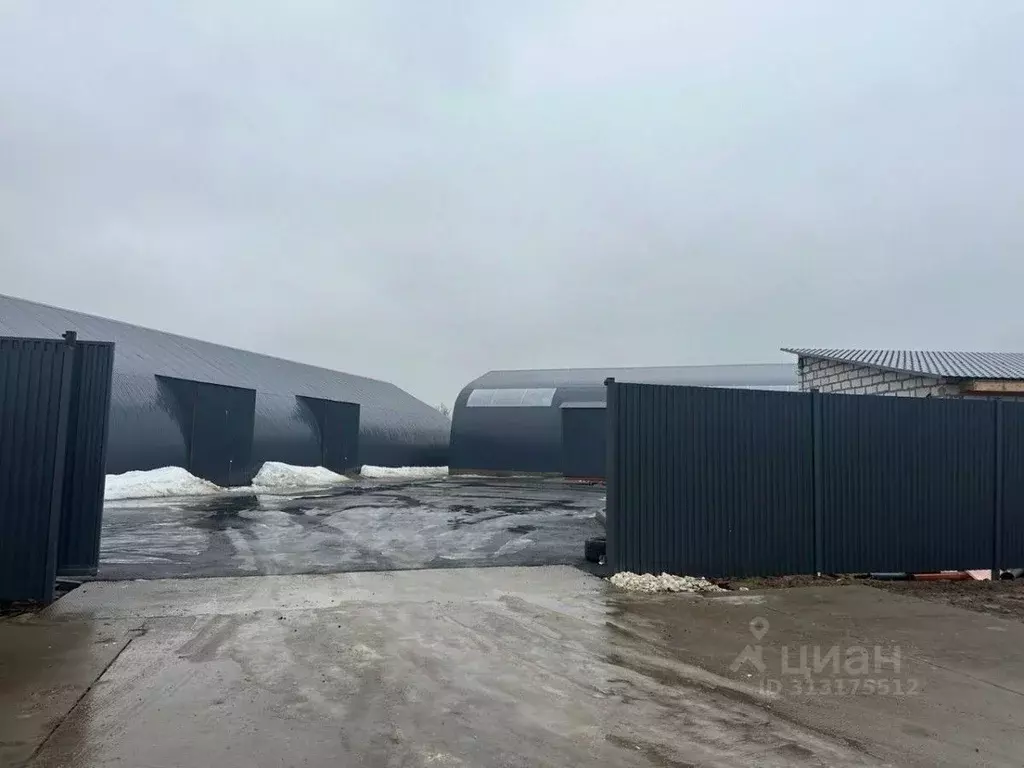 Производственное помещение в Московская область, Балашиха городской ... - Фото 1