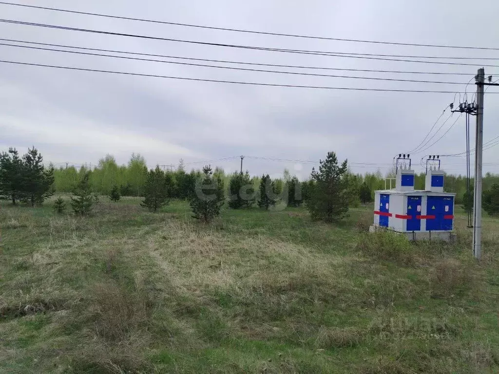 Участок в Челябинская область, Сосновский муниципальный округ, с. ... - Фото 1