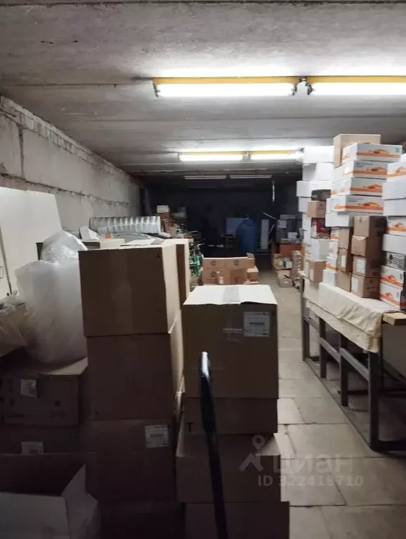 Помещение свободного назначения в Пензенская область, Заречный ул. ... - Фото 2