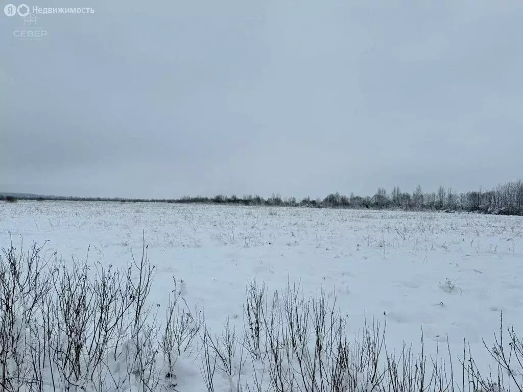 Участок в Трубичинское сельское поселение, деревня Котовицы (1723 м) - Фото 0