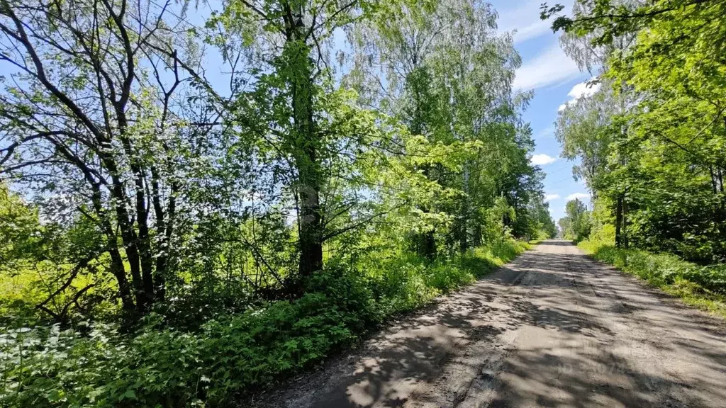 Участок в Костромская область, Шарья ул. Александра Смирнова (10.0 ... - Фото 1