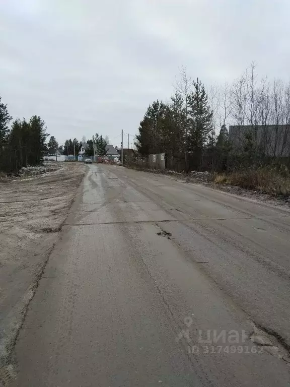 Участок в Ханты-Мансийский АО, Сургут № 41 Рябинка садоводческий ... - Фото 0