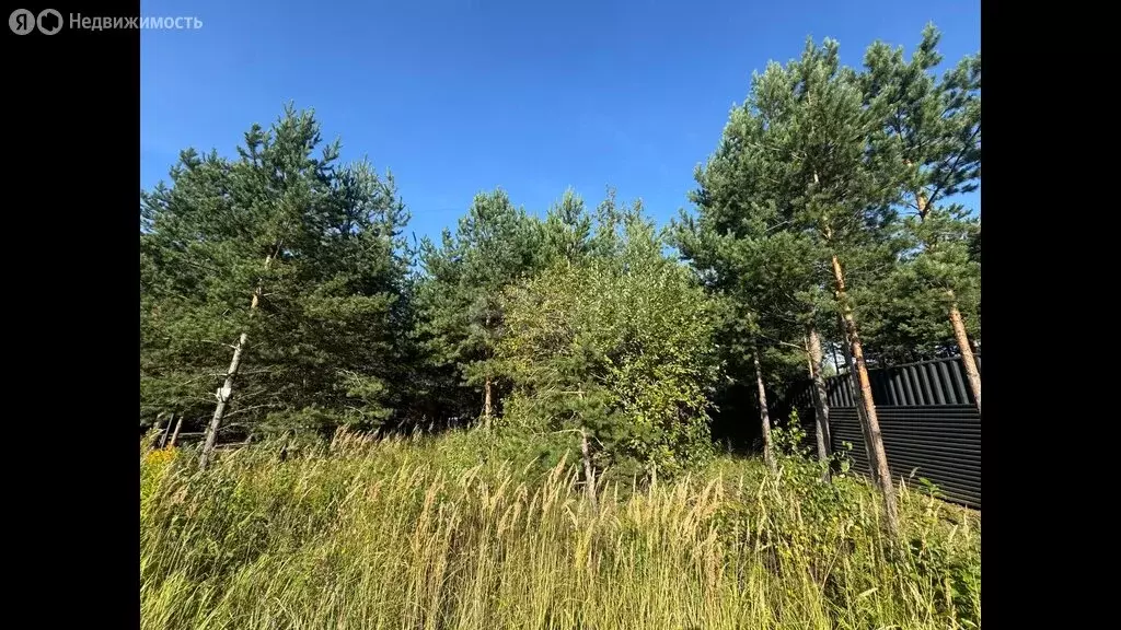Участок в Раменское, КП Дергаево-2, улица Суворова (6 м) - Фото 2