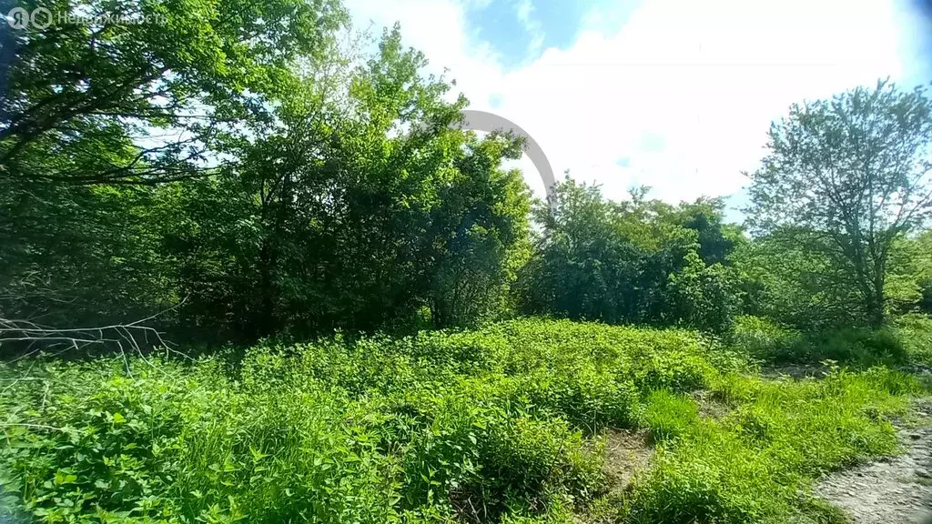 Участок в Хадыженск, улица Грибоедова, 20А (14 м) - Фото 1