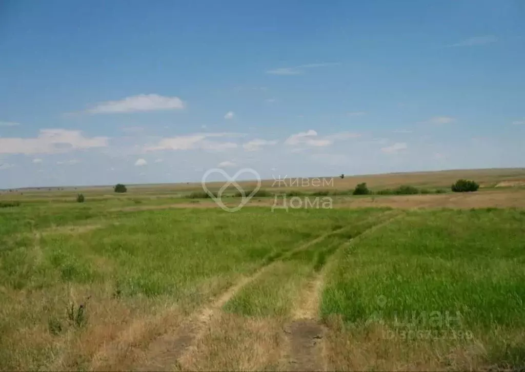 Участок в Волгоградская область, Светлоярский район, Дубовоовражное ... - Фото 0