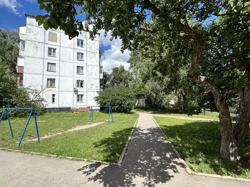2-к кв. Московская область, Электроугли Богородский городской округ, ... - Фото 2